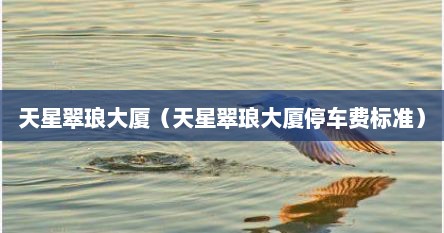 天星翠琅大厦（天星翠琅大厦停车费标准）