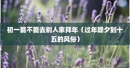 初一能不能去别人家拜年（过年除夕到十五的风俗）