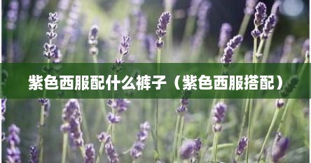 紫色西服配什么裤子（紫色西服搭配）