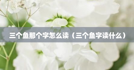 三个鱼那个字怎么读（三个鱼字读什么）