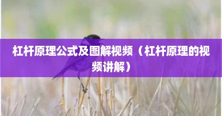 杠杆原理公式及图解视频（杠杆原理的视频讲解）