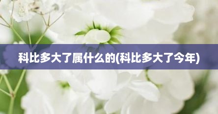 科比多大了属什么的(科比多大了今年)