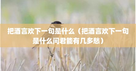 把酒言欢下一句是什么（把酒言欢下一句是什么问君能有几多愁）