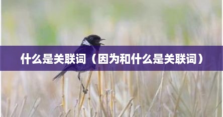 什么是关联词（因为和什么是关联词）