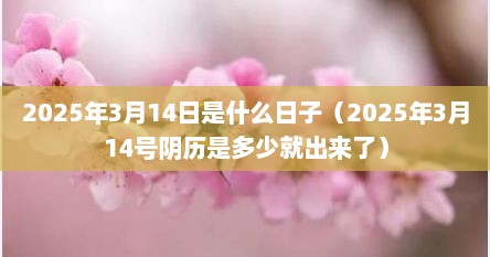 2025年3月14日是什么日子（2025年3月14号阴历是多少就出来了）