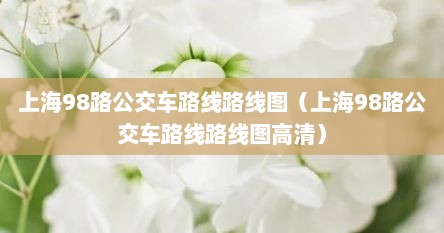 上海98路公交车路线路线图（上海98路公交车路线路线图高清）