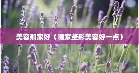 美容那家好（哪家整形美容好一点）