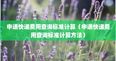 申通快递费用查询标准计算（申通快递费用查询标准计算方法）
