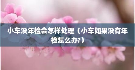 小车没年检会怎样处理（小车如果没有年检怎么办?）