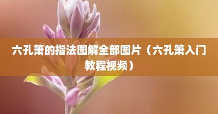 六孔箫的指法图解全部图片（六孔箫入门教程视频）