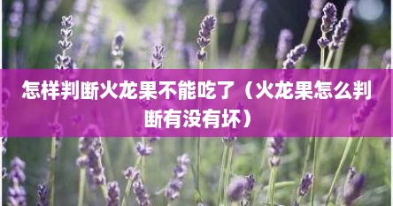 怎样判断火龙果不能吃了（火龙果怎么判断有没有坏）