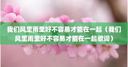 我们风里雨里好不容易才能在一起(我们风里雨里好不容易才能在一起歌词)
