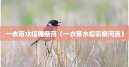 一衣带水指哪条河（一衣带水指哪条河流）