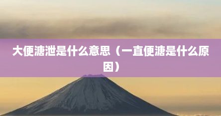大便溏泄是什么意思（一直便溏是什么原因）