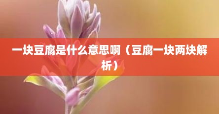 一块豆腐是什么意思啊（豆腐一块两块解析）