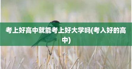 考上好高中就能考上好大学吗(考入好的高中)