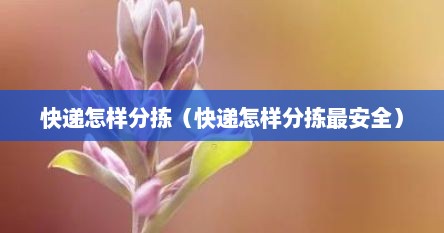快递怎样分拣（快递怎样分拣最安全）