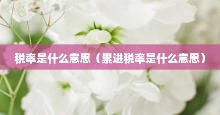 税率是什么意思（累进税率是什么意思）
