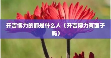 开吉博力的都是什么人（开吉博力有面子吗）