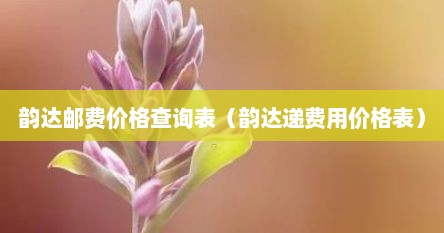 韵达邮费价格查询表（韵达递费用价格表）