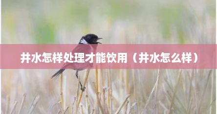井水怎样处理才能饮用（井水怎么样）