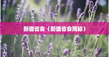 新疆省会是什么名字（新疆省会是哪个地方）