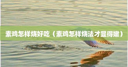 素鸡怎样烧好吃（素鸡怎样烧法才显得嫩）