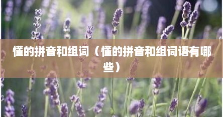懂的拼音和组词（懂的拼音和组词语有哪些）