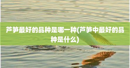 芦笋最好的品种是哪一种(芦笋中最好的品种是什么)
