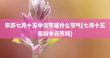 农历七月十五中元节是什么节气(七月十五是叫中元节吗)