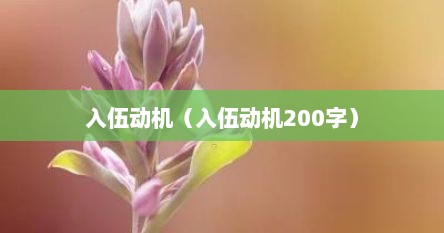 入伍动机（入伍动机200字）