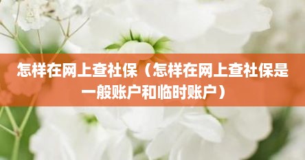 怎样在网上查社保（怎样在网上查社保是一般账户和临时账户）