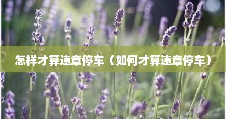 怎样才算违章停车（如何才算违章停车）