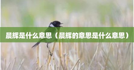 晨辉是什么意思（晨辉的意思是什么意思）