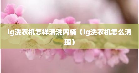 lg洗衣机怎样清洗内桶（lg洗衣机怎么清理）