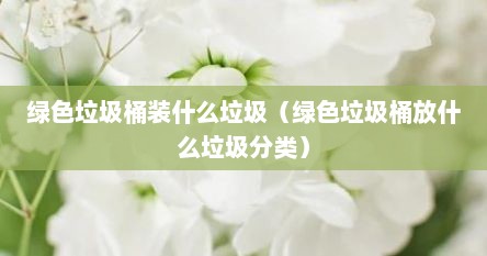 绿色垃圾桶装什么垃圾（绿色垃圾桶放什么垃圾分类）