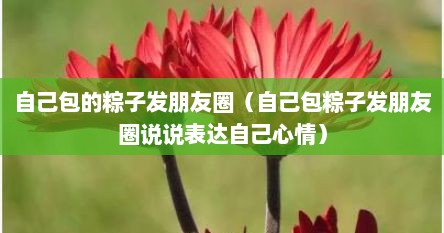 自己包的粽子发朋友圈（自己包粽子发朋友圈说说表达自己心情）