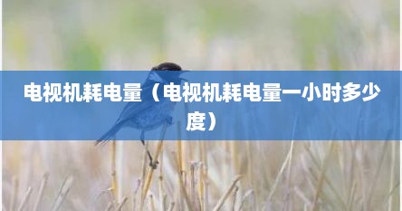电视机耗电量（电视机耗电量一小时多少度）