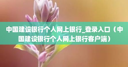 中国建设银行个人网上银行_登录入口（中国建设银行个人网上银行客户端）