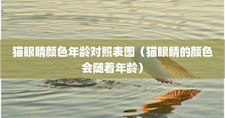 猫眼睛颜色年龄对照表图（猫眼睛的颜色会随着年龄）
