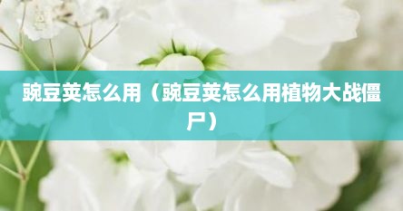 豌豆荚怎么用（豌豆荚怎么用植物大战僵尸）