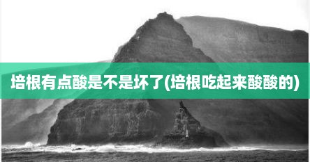 培根有点酸是不是坏了(培根吃起来酸酸的)