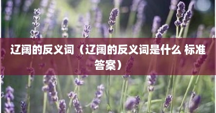 辽阔的反义词是什么准确答案（辽阔的反义词是什么标准答案）