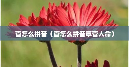 菅怎么拼音（菅怎么拼音草菅人命）