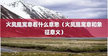 火凤凰寓意着什么意思（火凤凰寓意和象征意义）