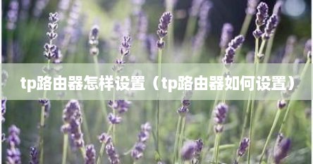tp路由器设置wifi步骤（tp路由器设置流程）
