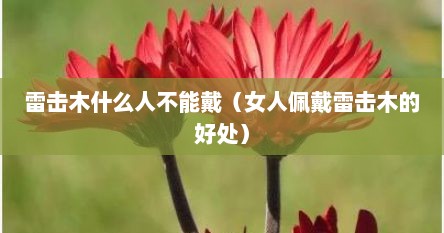 雷击木什么人不能戴（女人佩戴雷击木的好处）