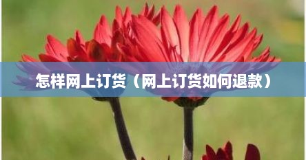 怎样网上订货（网上订货如何退款）