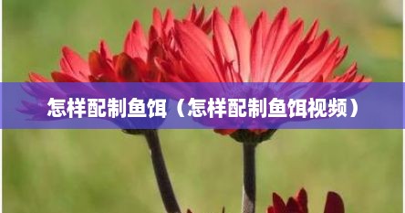 怎样配制鱼饵（怎样配制鱼饵视频）