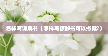 怎样写谅解书（怎样写谅解书可以撤案?）